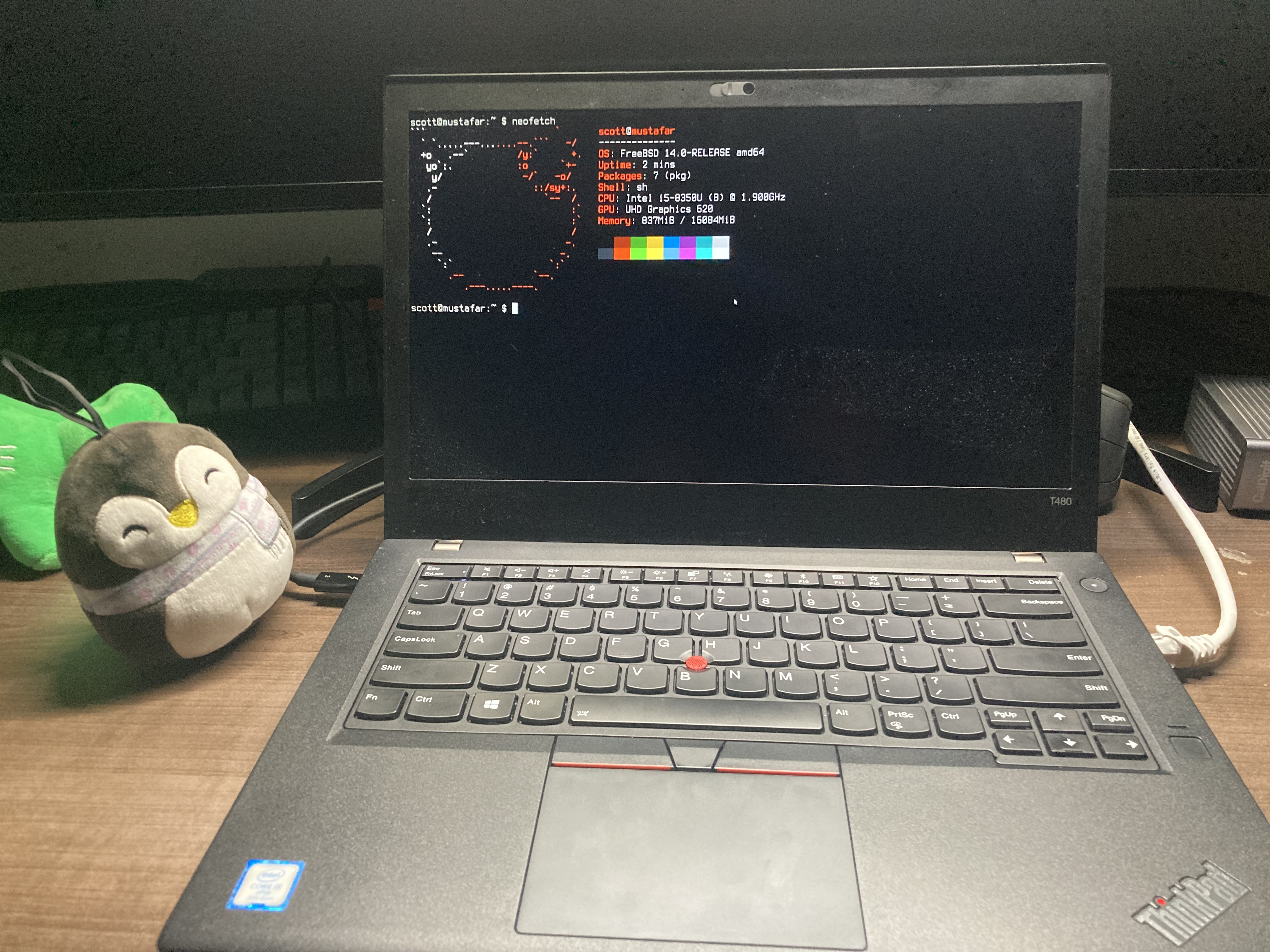 freebsd